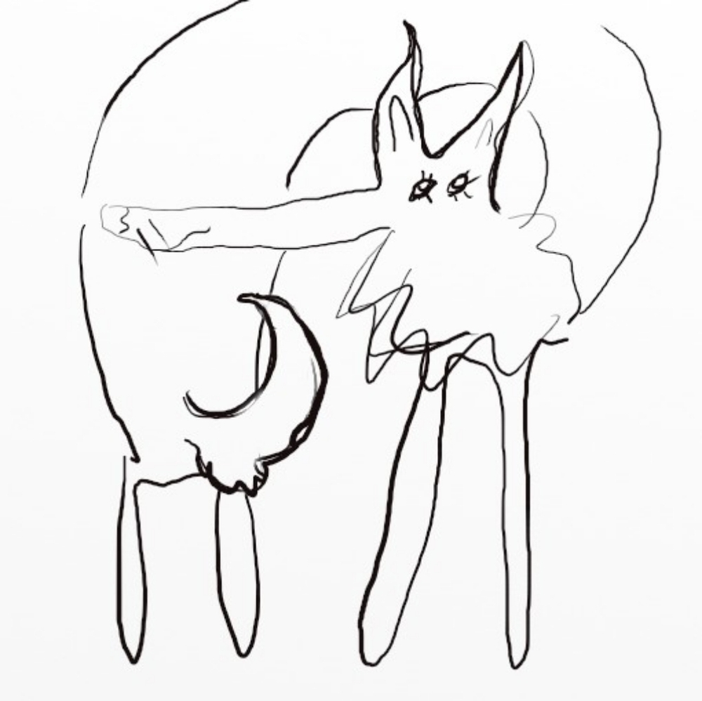 "Abstract" Doodle Black And White Animal Drawing Of Your Animal
